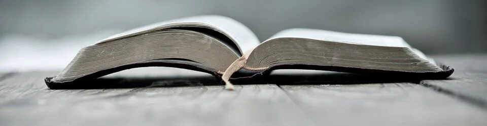 bible2-banner-960x2501.jpeg