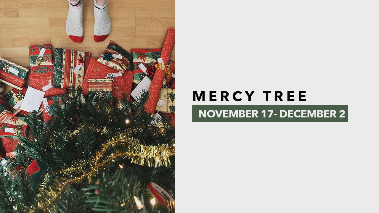 Mercy Tree.jpg
