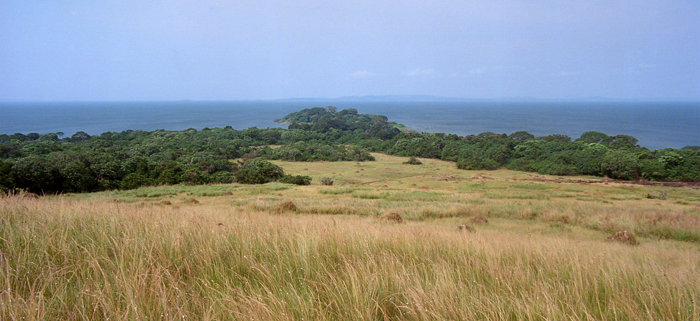 img110.jpg