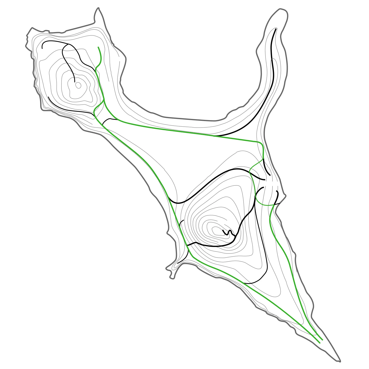 Island circuit walk.jpg