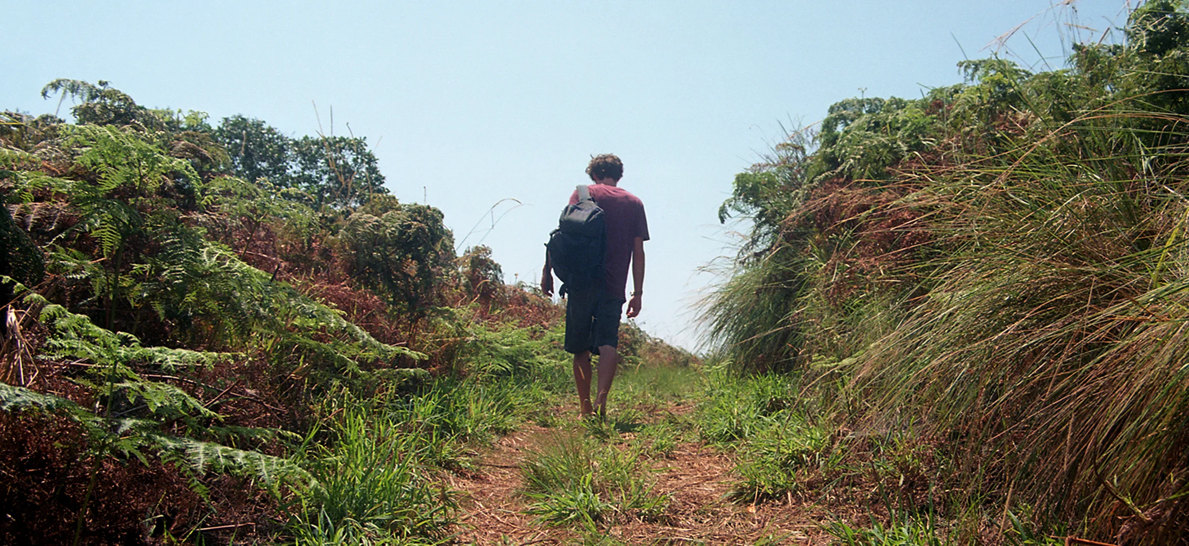 walking hill website.jpg