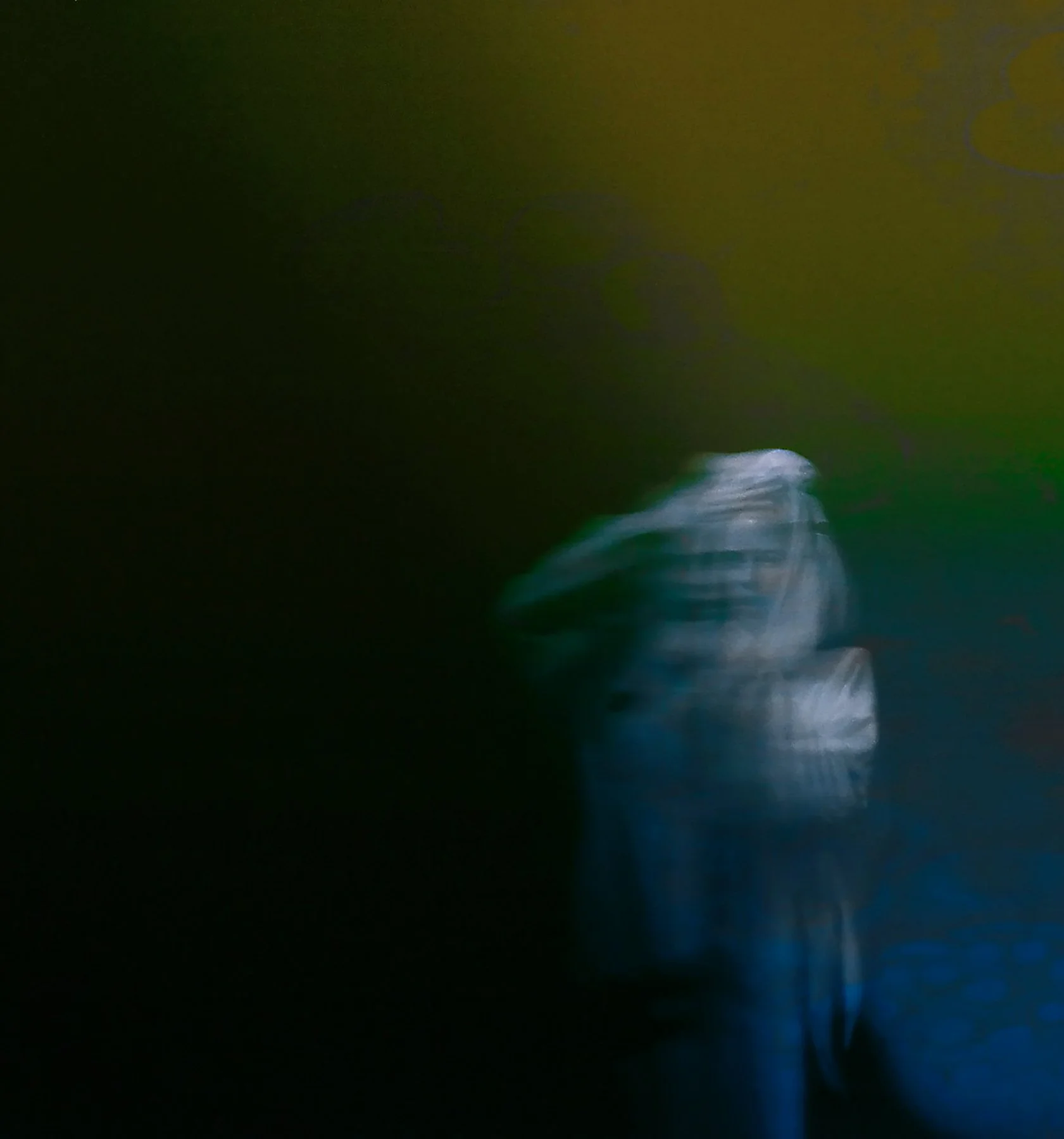 Screenshot 2024-09-23 at 23.20.16 2.jpg