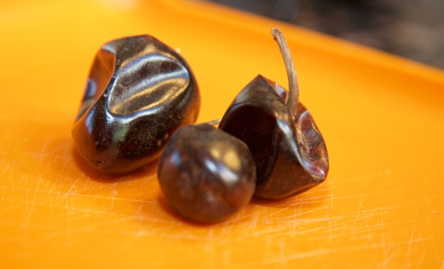 cascabel chile.jpg