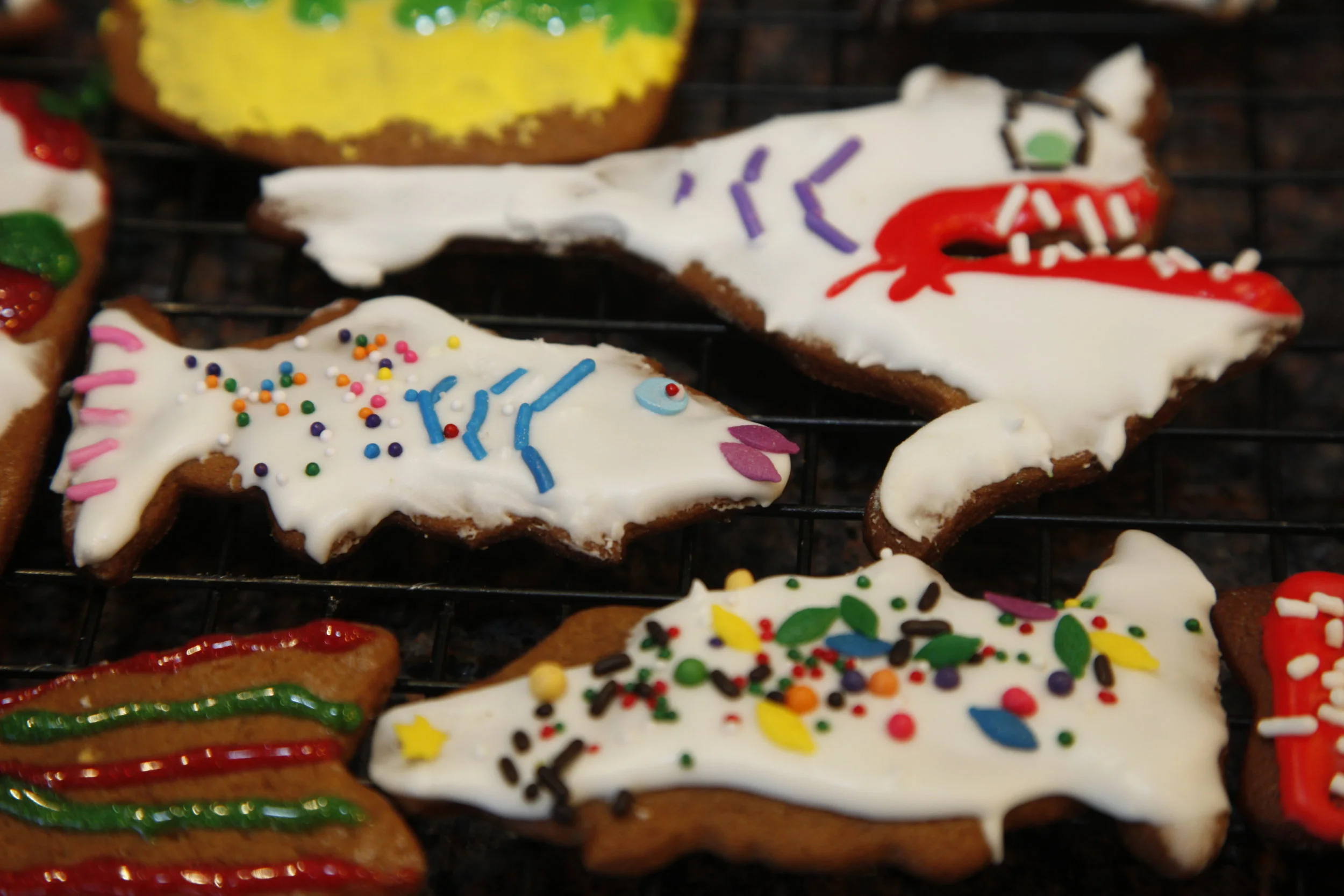 pepparkakor fish.JPG