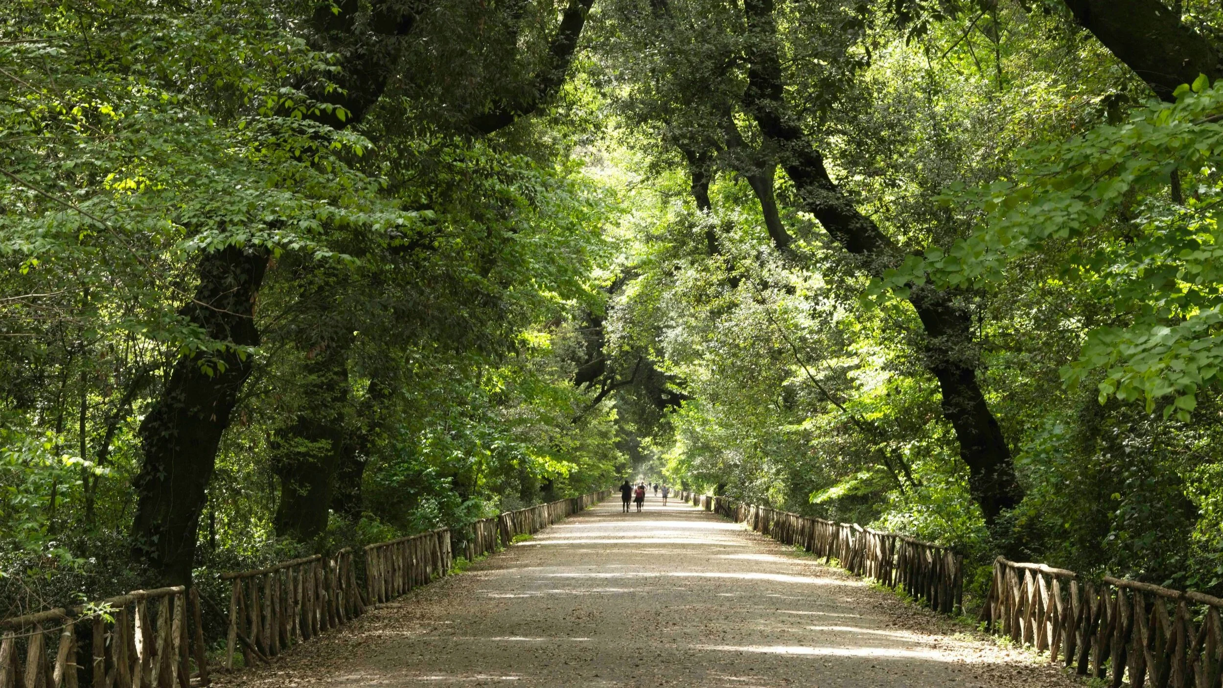 Pathway+within+the+Royal+Park+of+Capodimonte%2C+Detail+1.jpg
