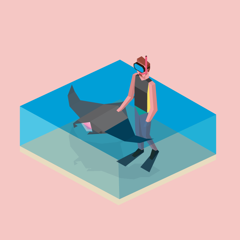 7.gif