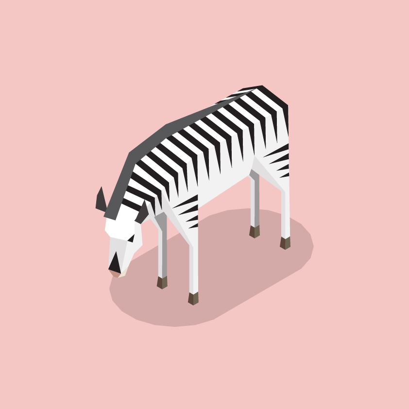 Sea-World-Parks-Animals.gif