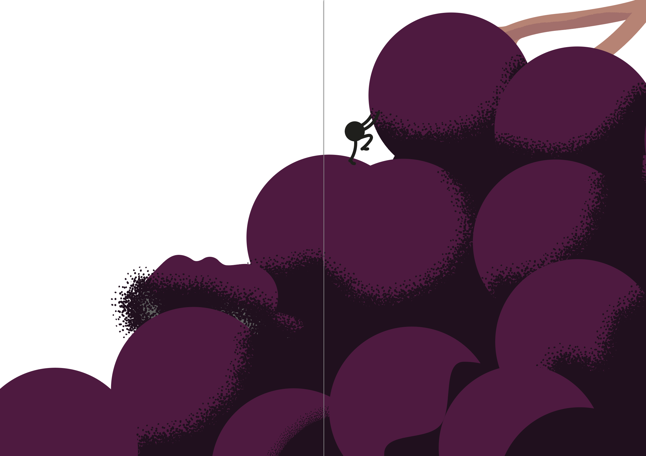 Screenshot 2025-07-29 at 10.03.59.png