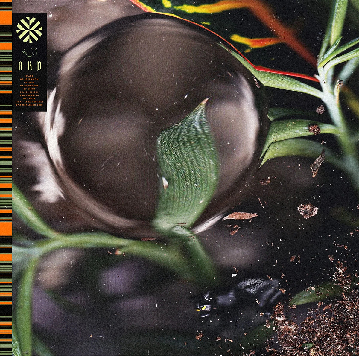 Cover_Two.jpg
