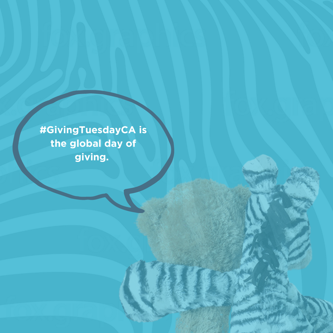 Giving Tuesday!