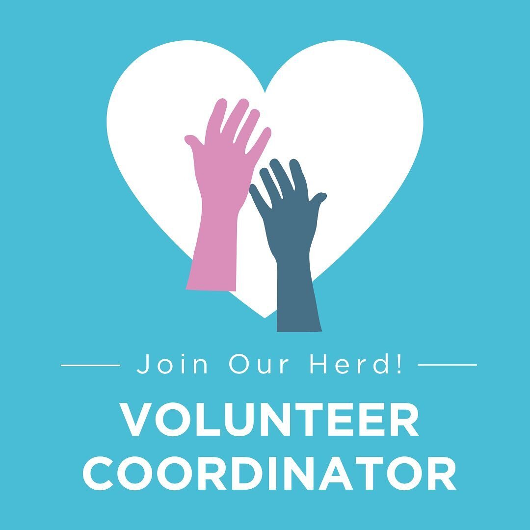 ❤️ We are looking for a Volunteer Coordinator to join our Zebra Herd!

🦓 Our Volunteer Coordinator will oversee and implement our unique and comprehensive volunteer program which involves over 100 active and engaged community volunteers filling a va