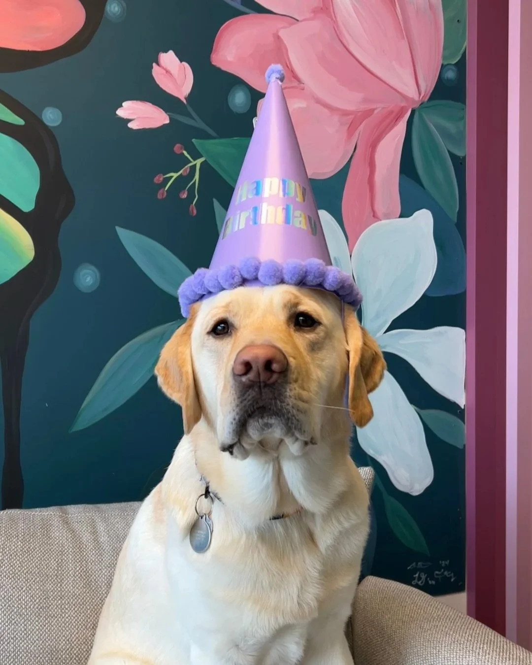 Happy 3rd Birthday to DWW Zeppelin! 🎉 

We love you, Zeppy! Thank you so much for everything you do to support kiddos and families. You make our team so proud. 🥰

#SafetySupportStrength