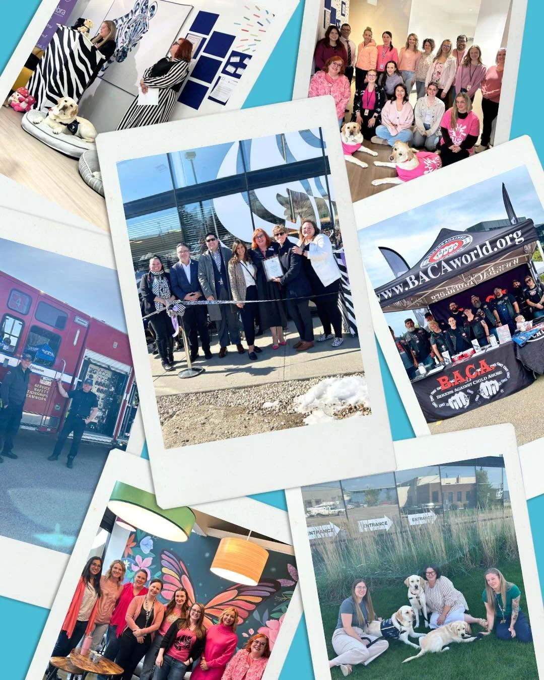 🦓 As 2025 comes to a close, we would love to thank our community for another year full of support. 

Whether you volunteered, donated, attended a fundraising event, or helped to spread awareness of Zebra&rsquo;s mission, we thank you for showing you