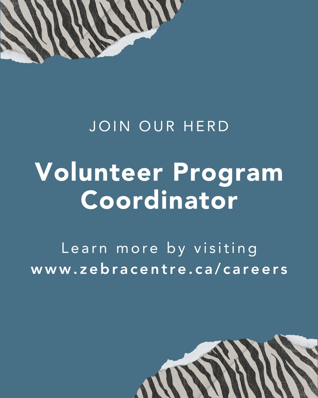 We are looking for a Volunteer Program Coordinator to join our herd! 🦓

You can learn more about this opportunity by visiting the link in our bio. 

#SafetySupportStrength