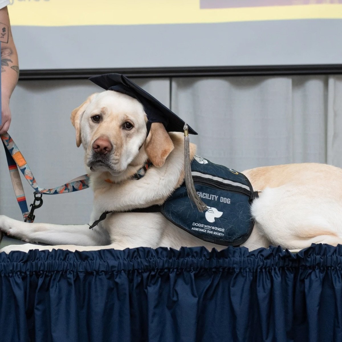 Congrats to our boy, Zepp! 🎓🐶

Recently, DWW Zeppelin celebrated his graduation from the @dogs_with_wings program. We are so proud of him for all of his hard work ❤️

#SafetyStrengthSupport