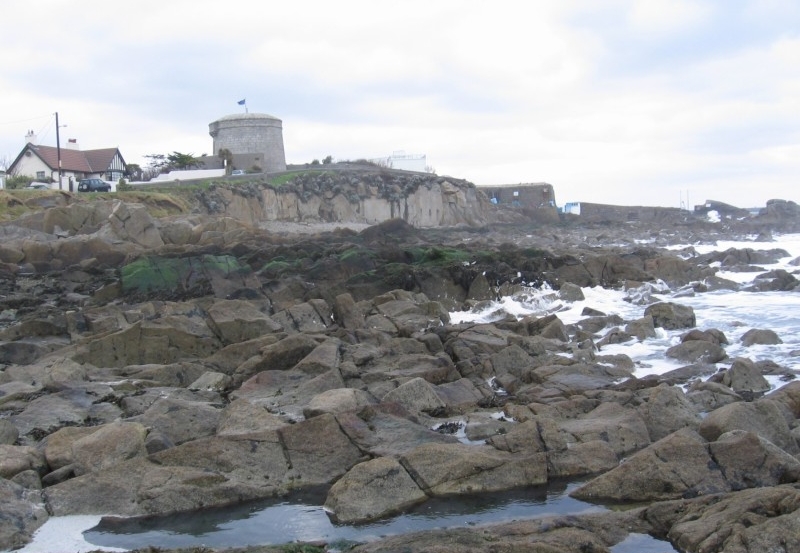 synopsis of the book ulysses tower from fortyfoot.jpg