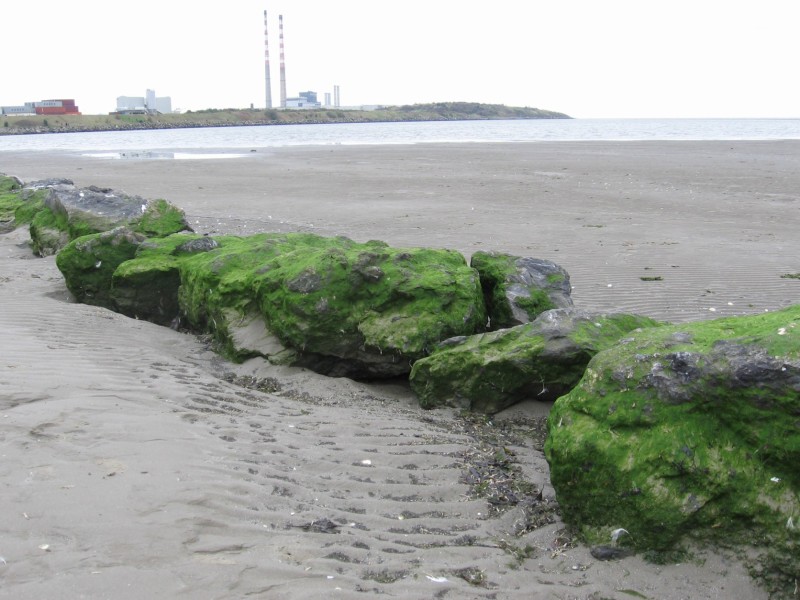 green rocks on the strand.jpg