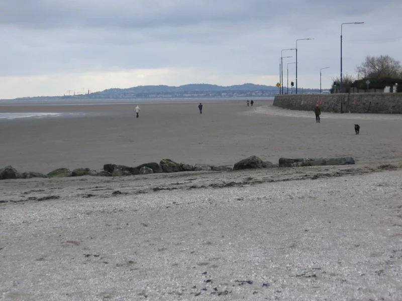 Picture 010.jpg