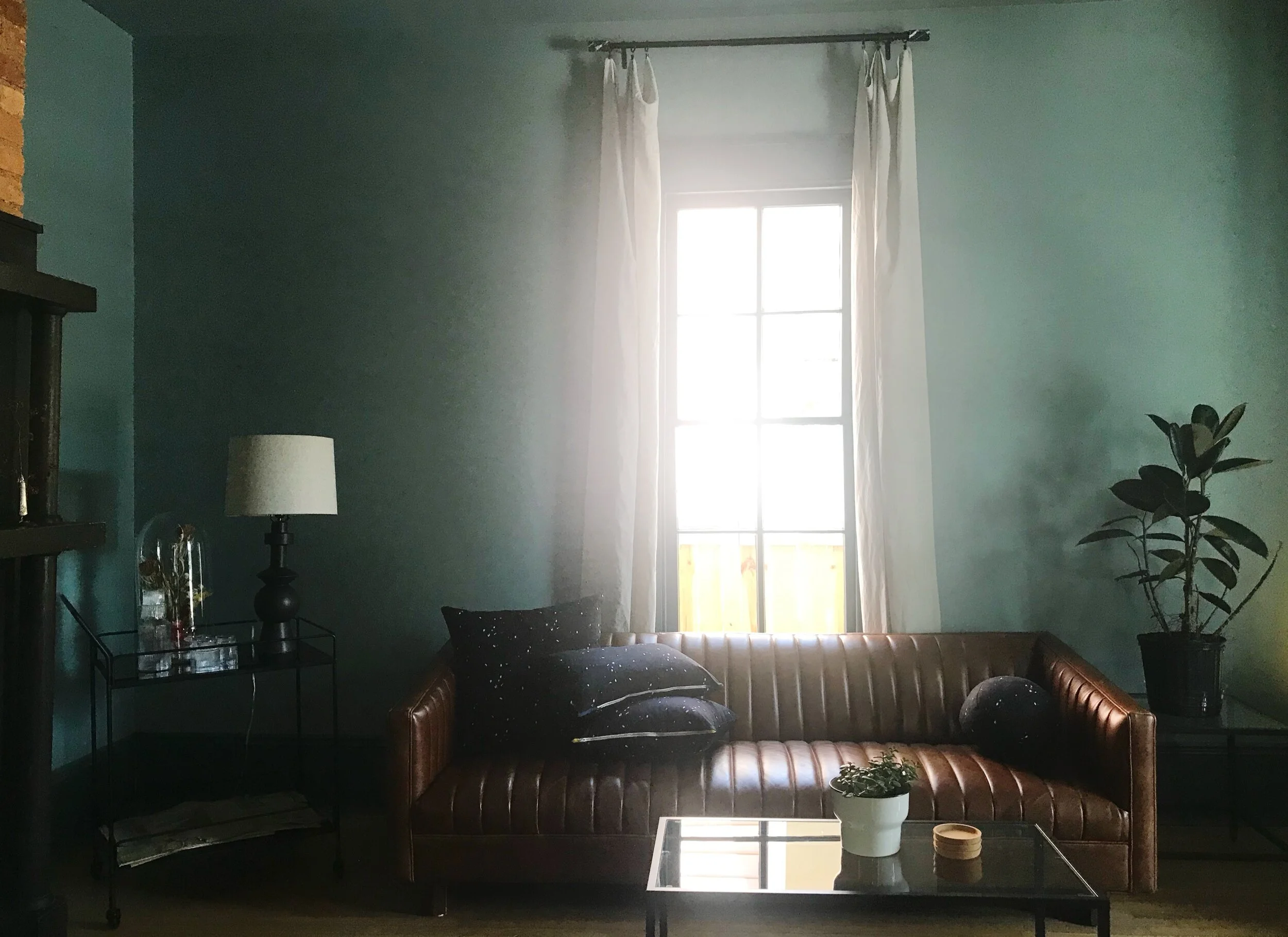 Fabric by the Yard and Pillows