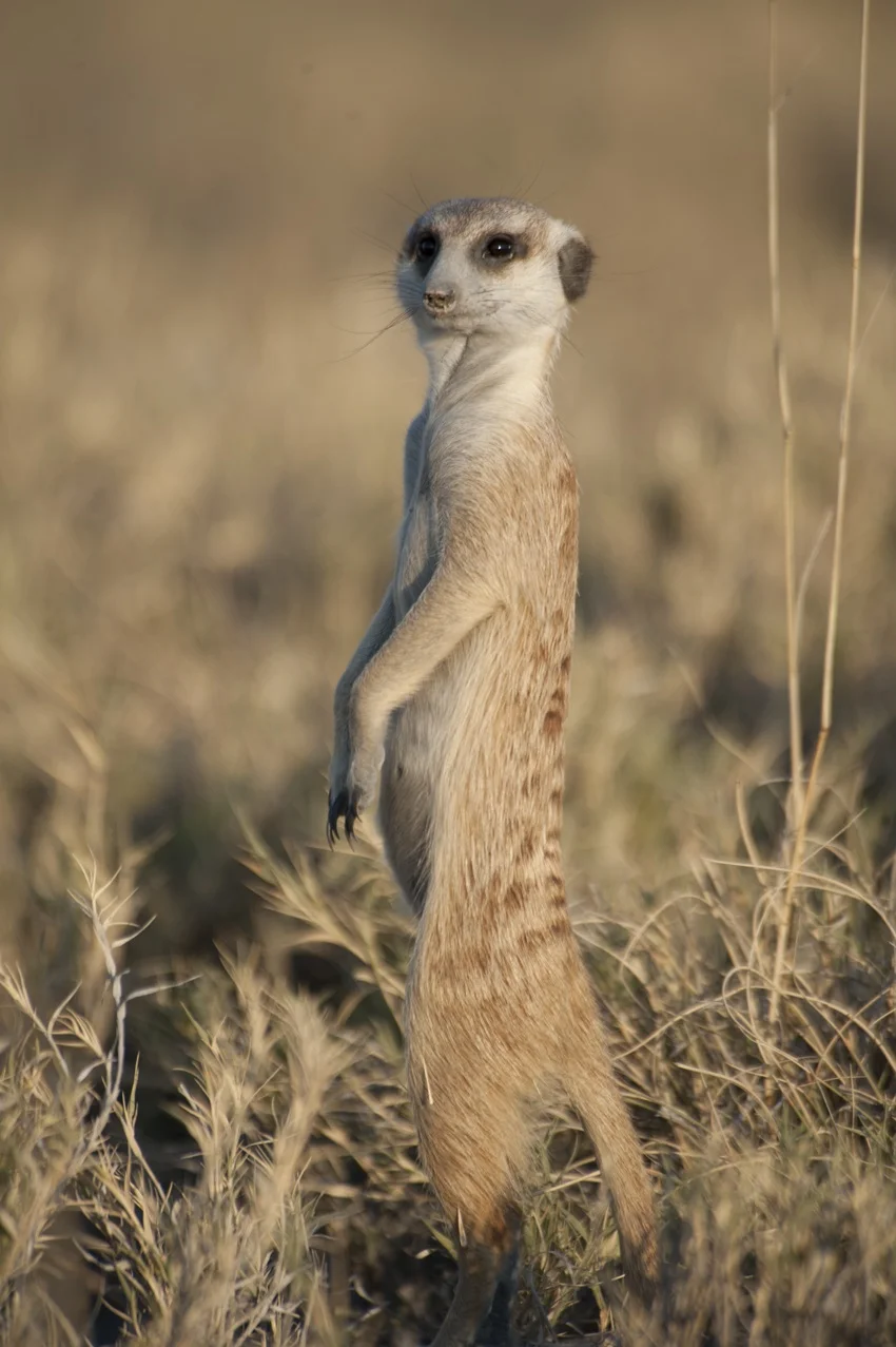 africa2011-18.jpg