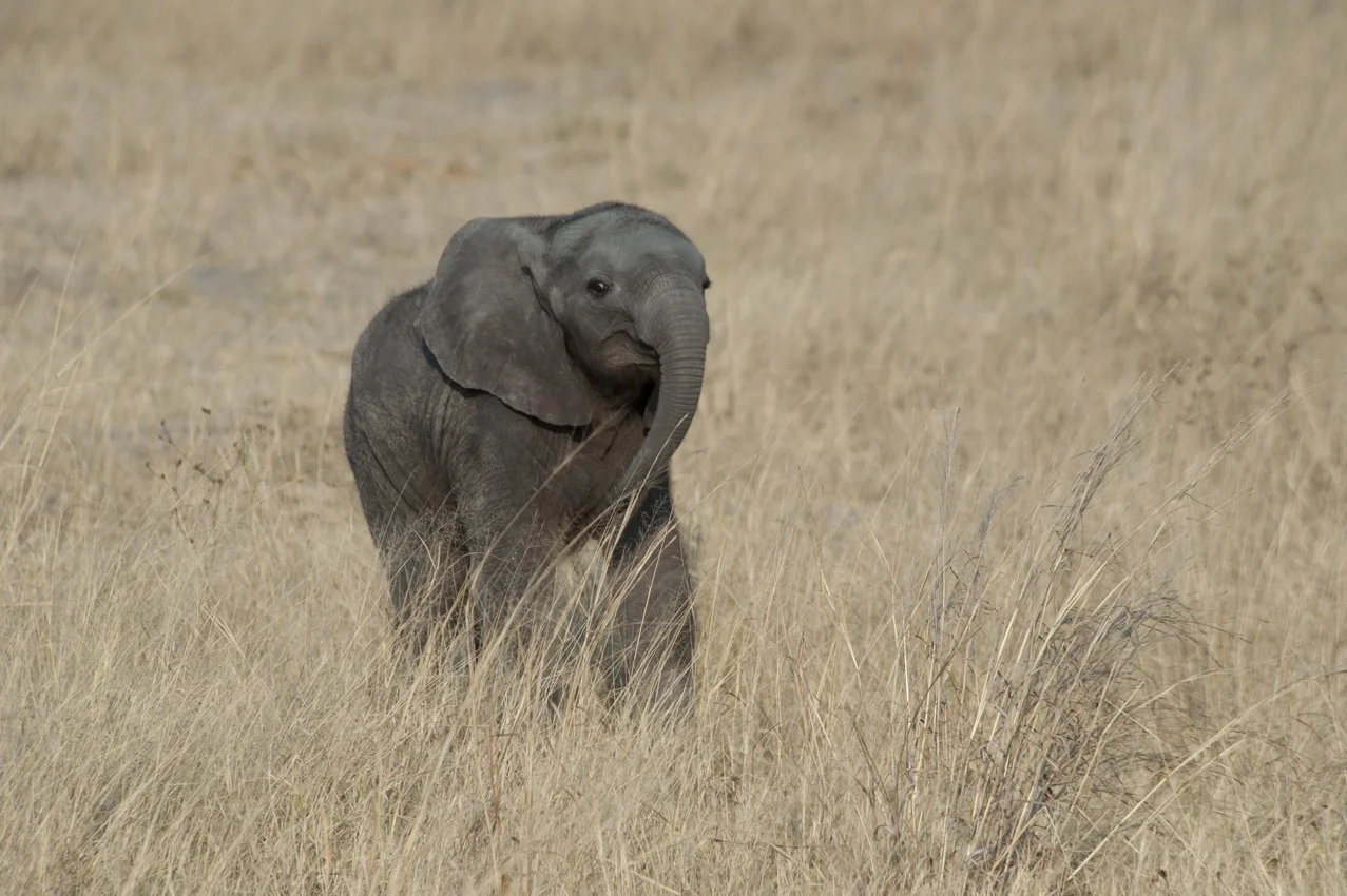 africa2011-20.jpg