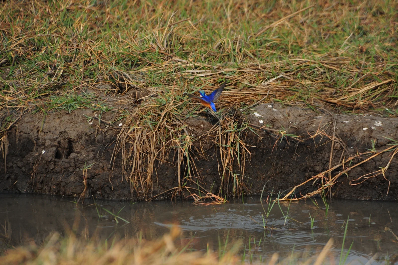 africa2011-23.jpg