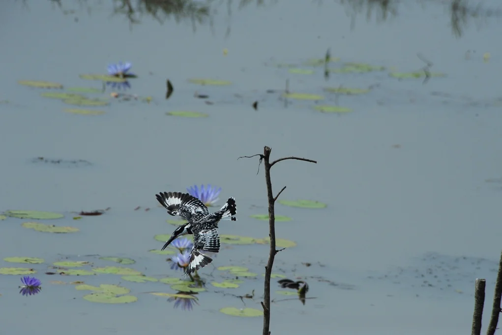 africa2011-27.jpg