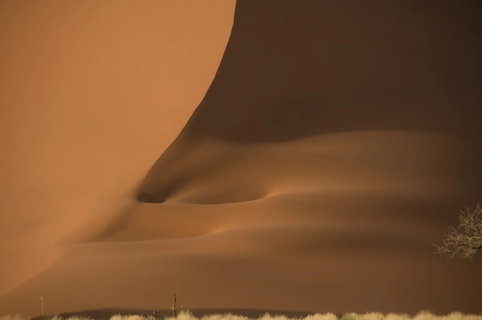 africa-3.jpg