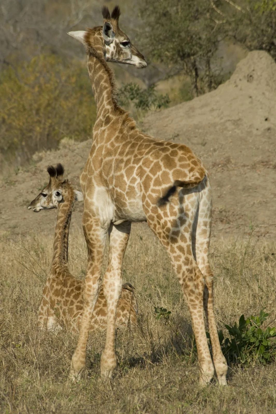 africa-16.jpg