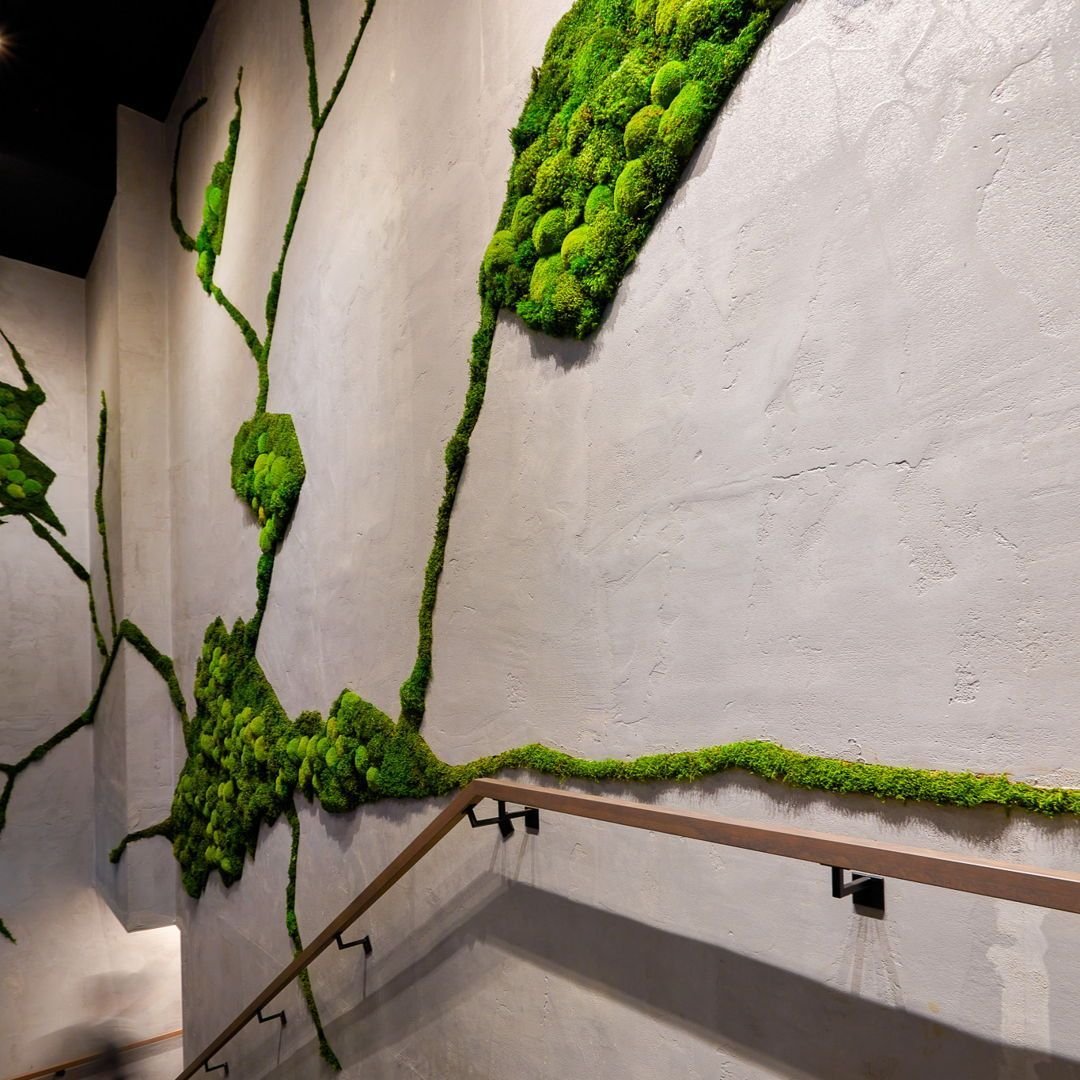 As we gear up for the HD Expo in Vegas (April 29 - May 2), we're thrilled to share some cutting-edge trends and innovations in hospitality design that we're exploring: 

Biophilic Design: Embrace nature indoors with biophilic elements like green wall