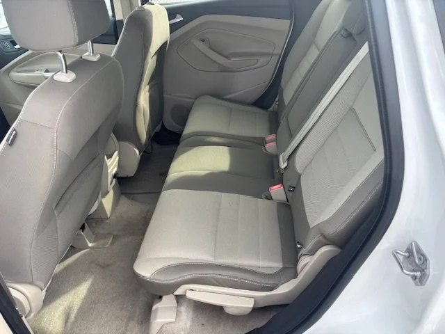 IMG_2464 - Copy - Copy - Copy - Copy.jpeg