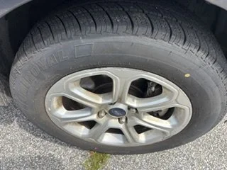 IMG_2722.jpeg