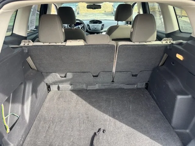 IMG_2465 - Copy - Copy - Copy - Copy - Copy.jpeg