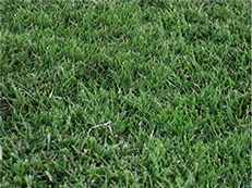 Latitude 36