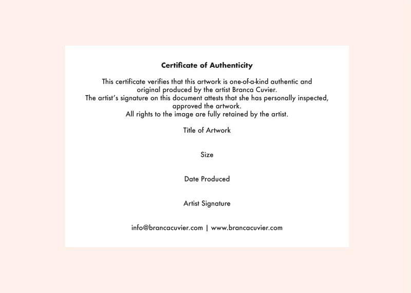 3 certificado-online-shop.jpg