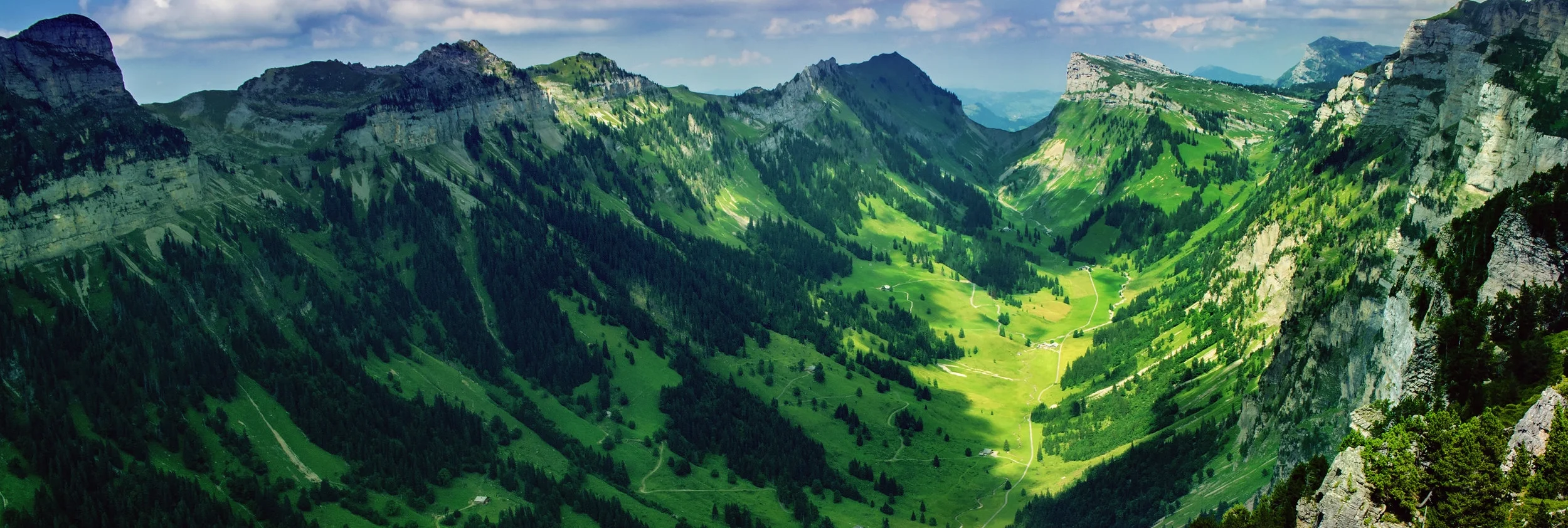 Green Wide.jpg