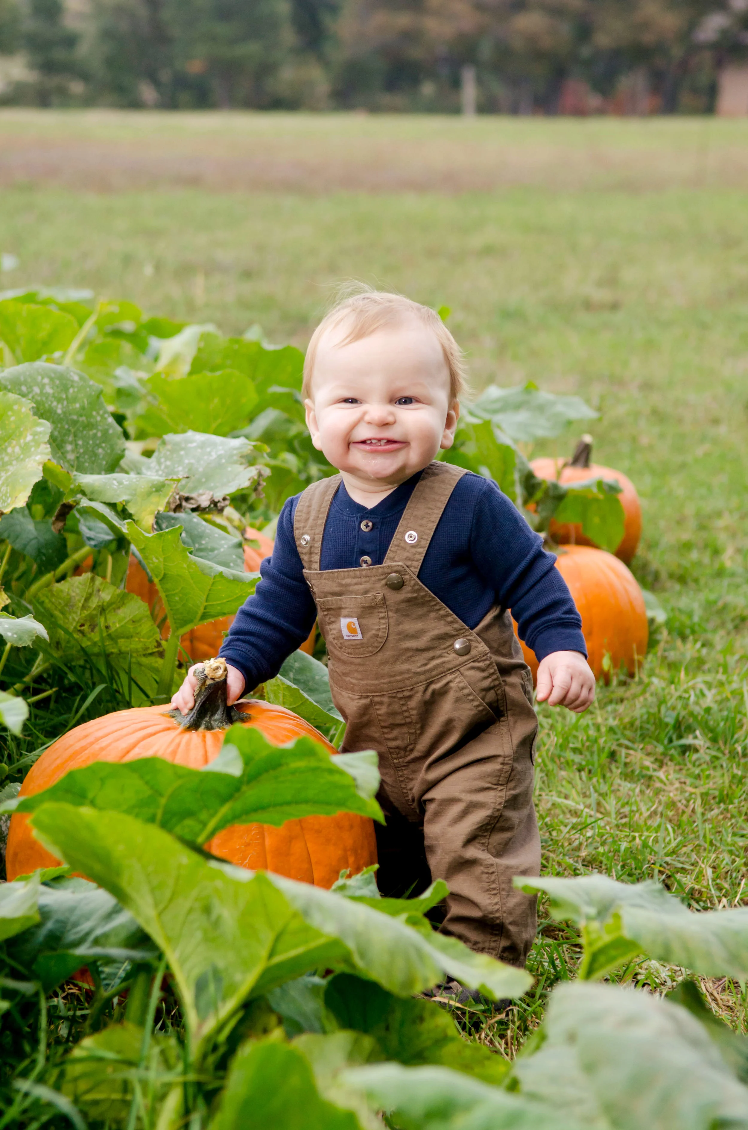 declan9m054.jpg
