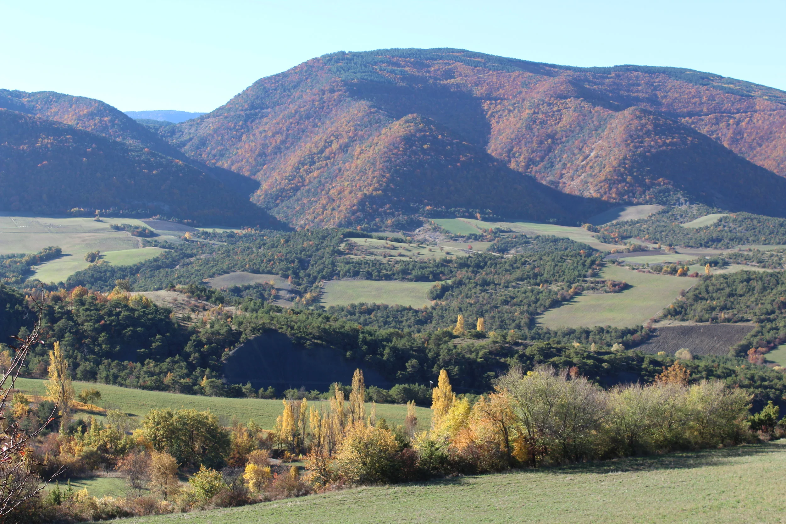 paysage 04.JPG
