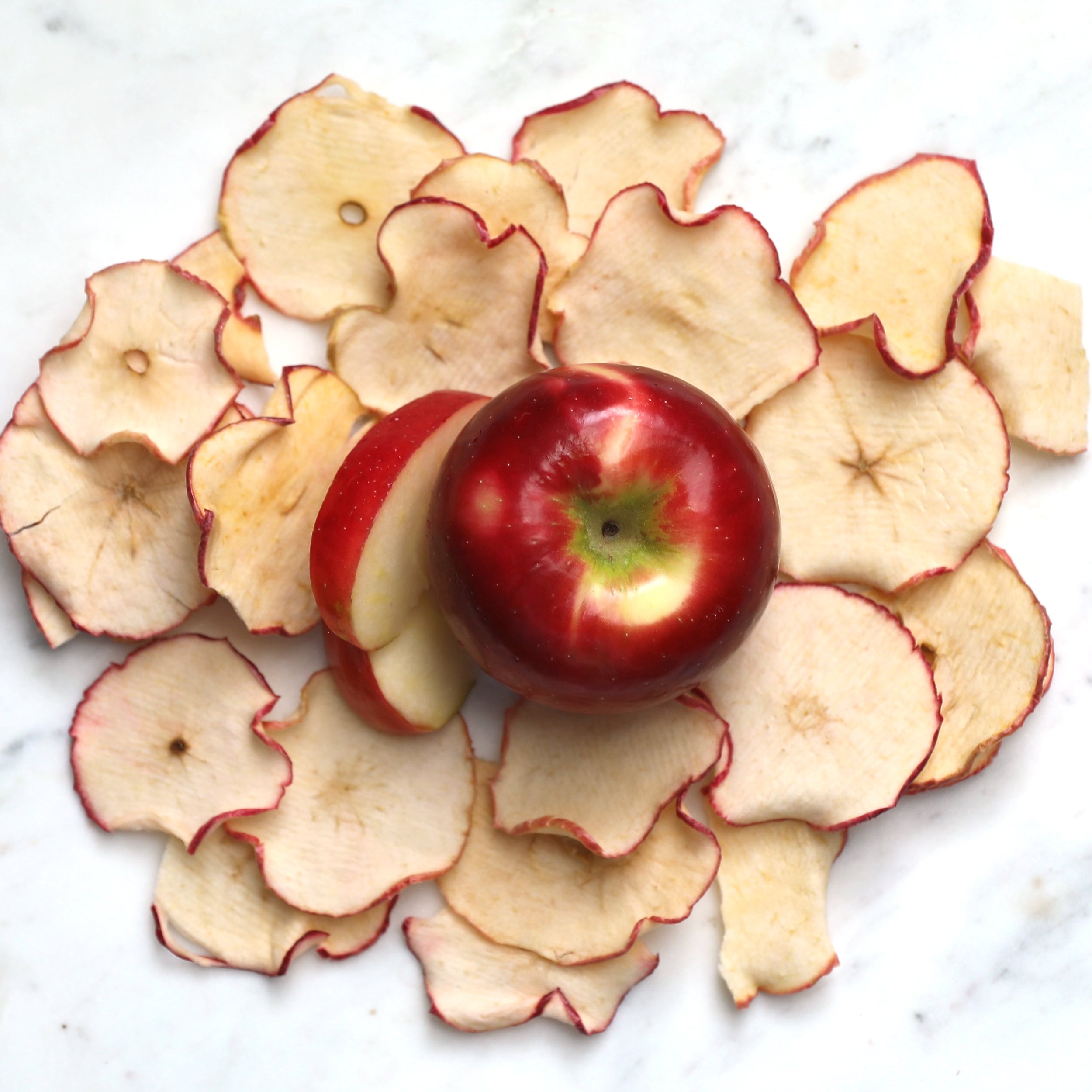 Limited! Honeycrisp Apple Chips *Online Exclusive* — Sisters Fruit