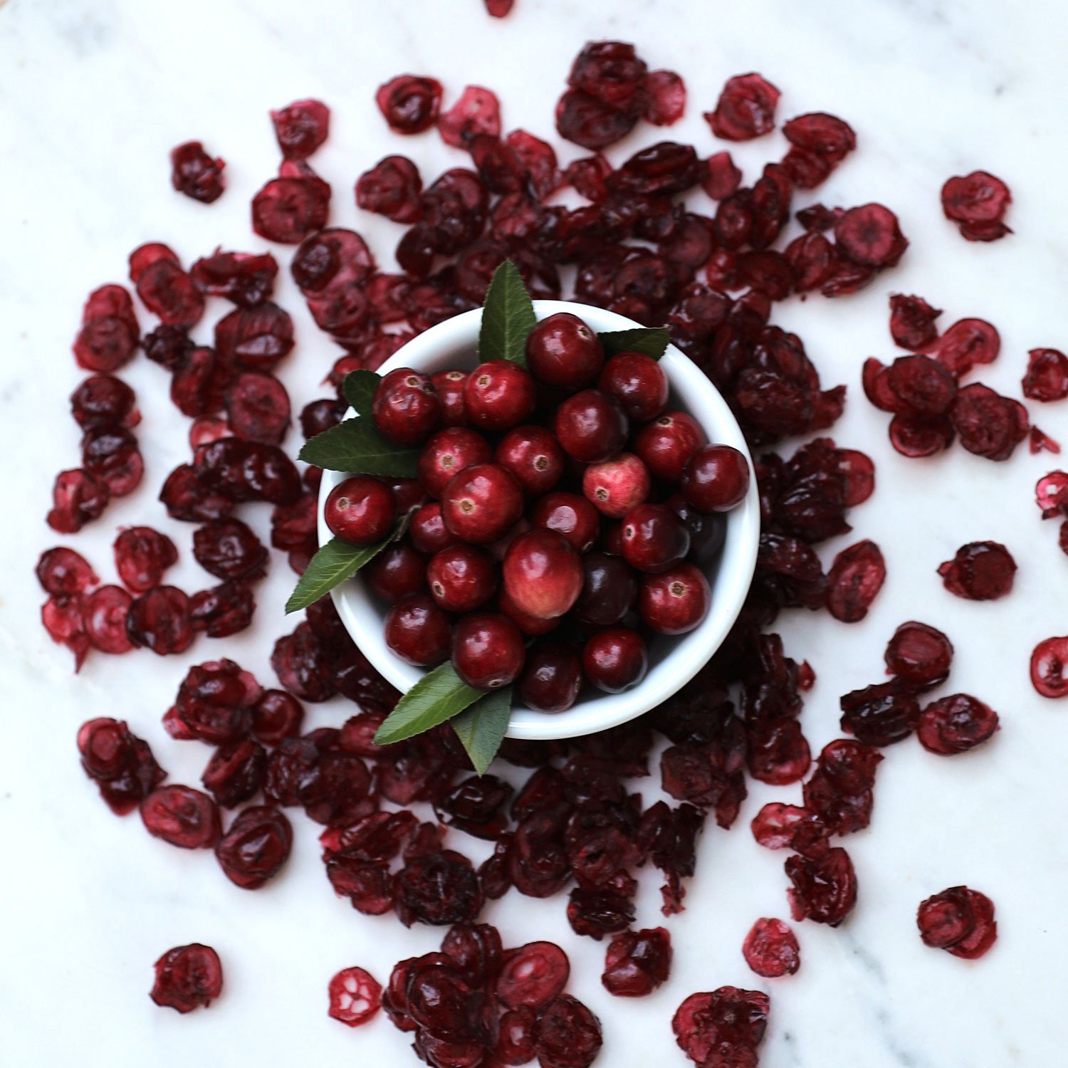 dried-cranberry-22.jpg