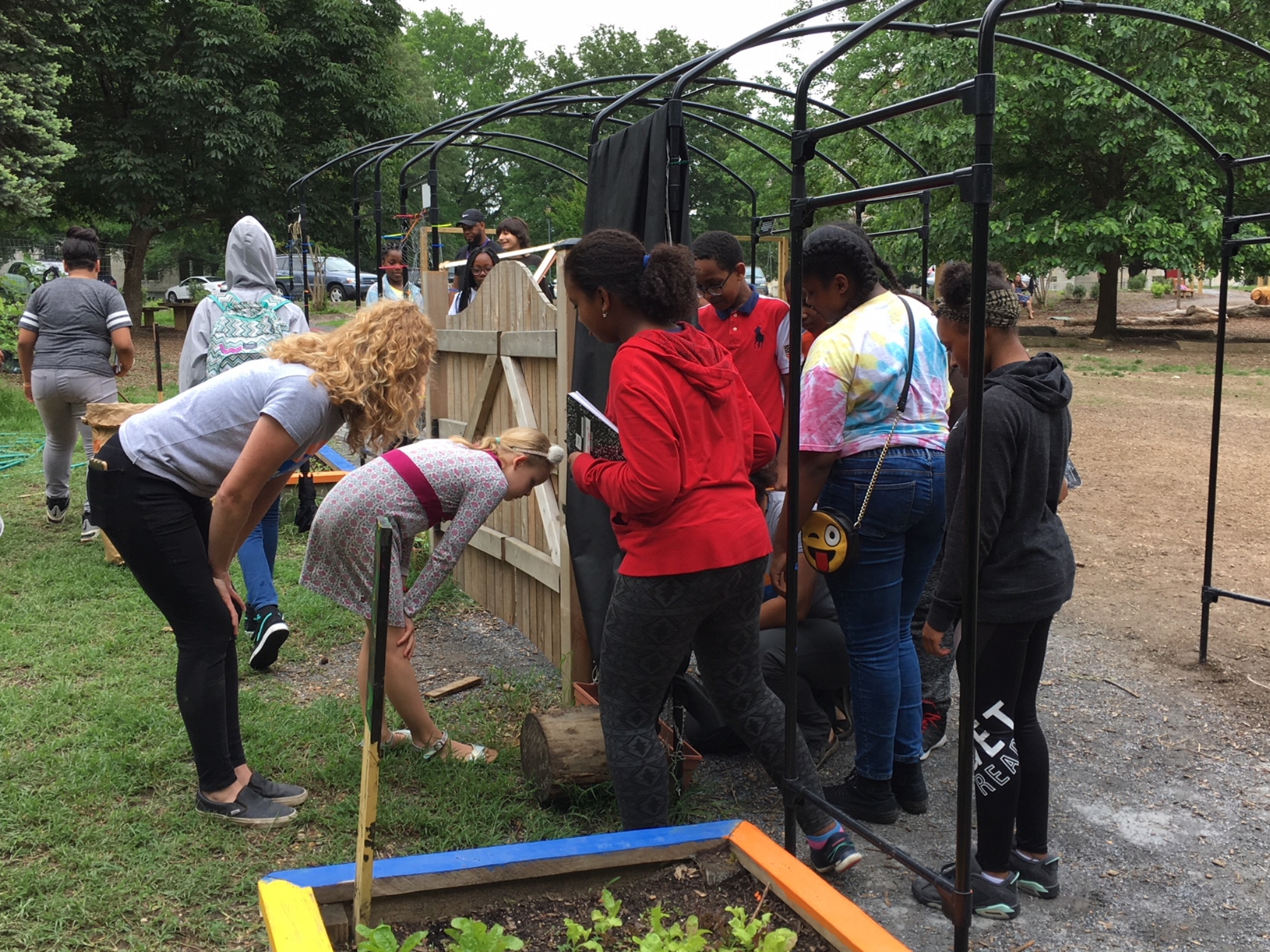 Sixth graders examining newly planted vining vegetables.