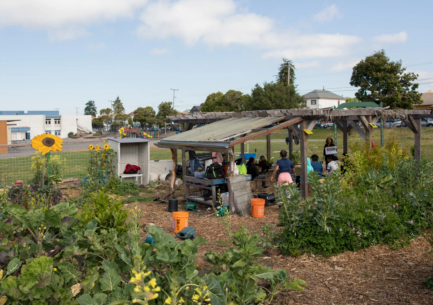 This new partnership with Oakland Unified School District, Green Schoolyards America and The Trust for Public Land builds on an existing strong garden program in the District. In this photo, students at Hoover Elementary School Learn to about climate by measuring the temperature of their grounds, under the guidance of Sharon Danks and garden teacher, Wanda Stewart. Photo credit; Paige Green.
