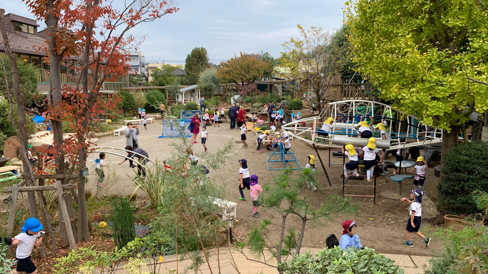 Preschool children play in the lush and exciting green schoolyard at Miyamae Kindergarten in Japan.