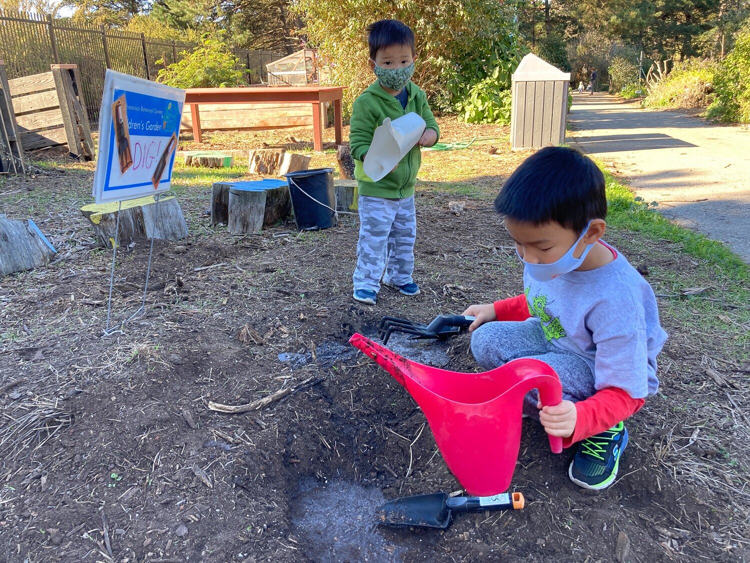 © Annette Huddle, San Francisco Botanical Garden