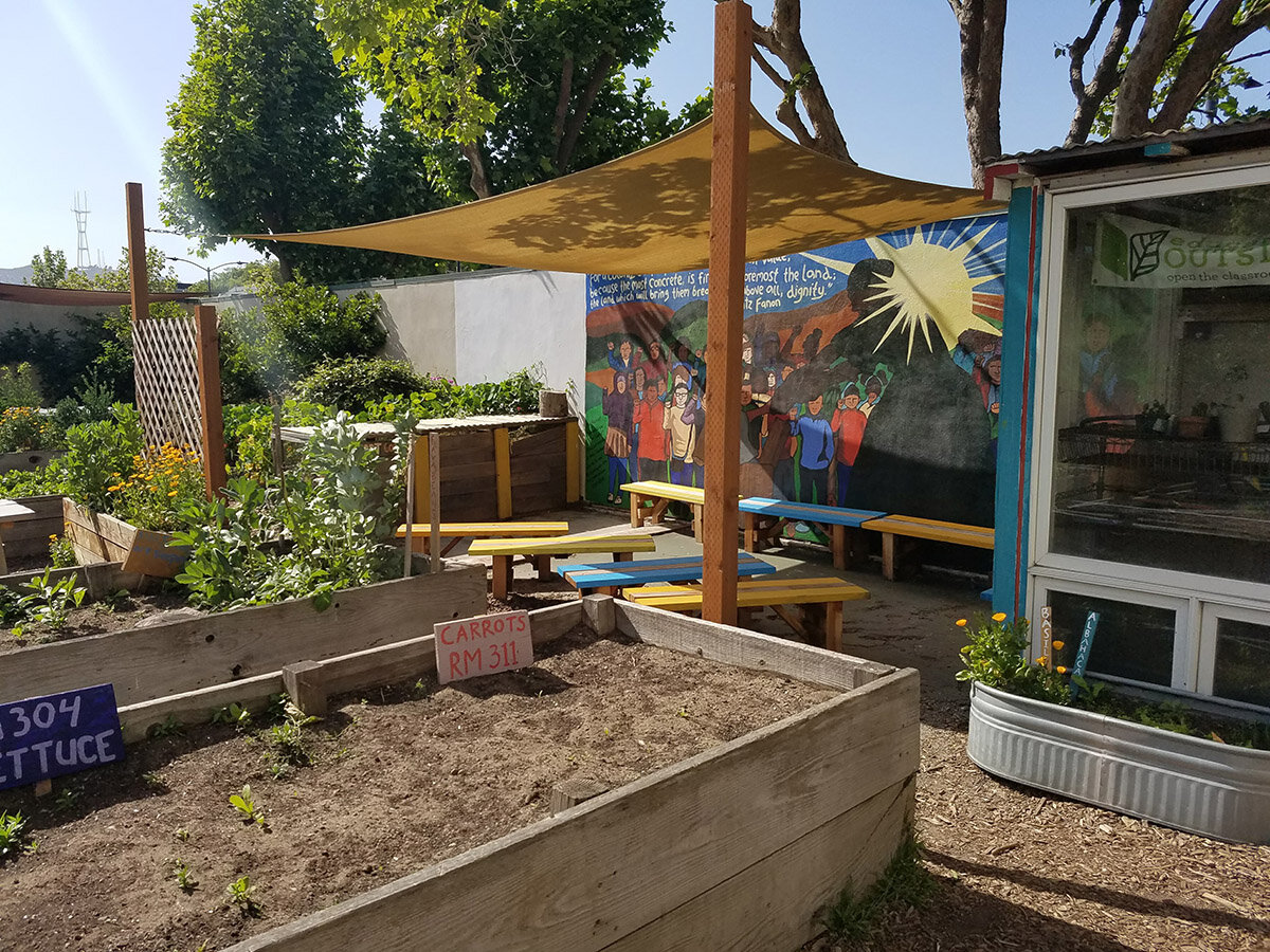 Image of Raised bed flower garden in a schoolyard