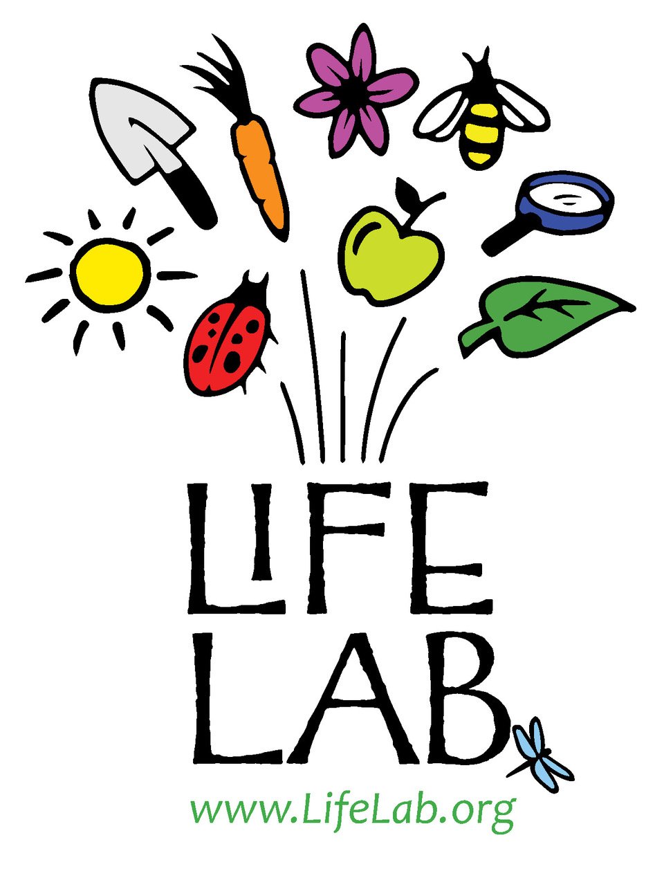 Life Lab logo - Judit Camacho.jpg
