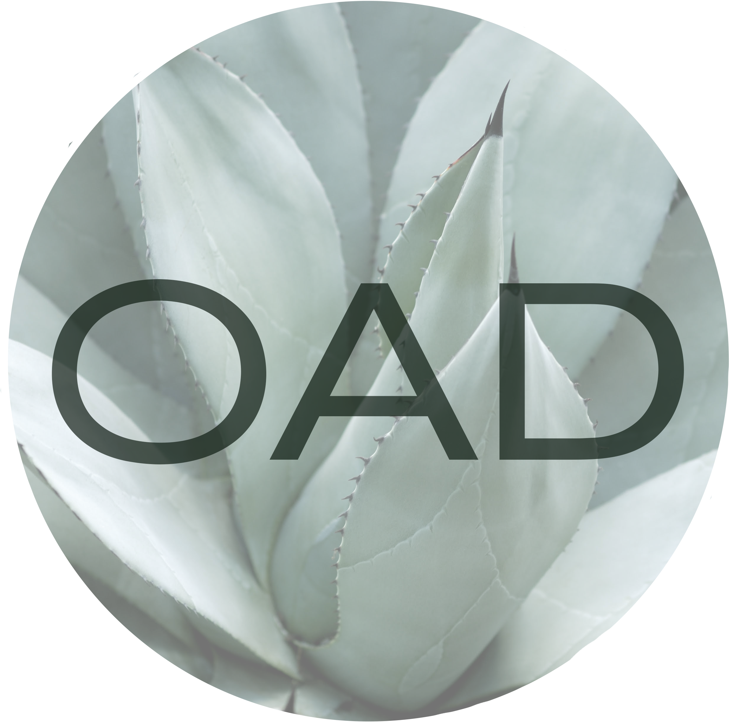 OAD Logo - Rania Odeh Affan.png