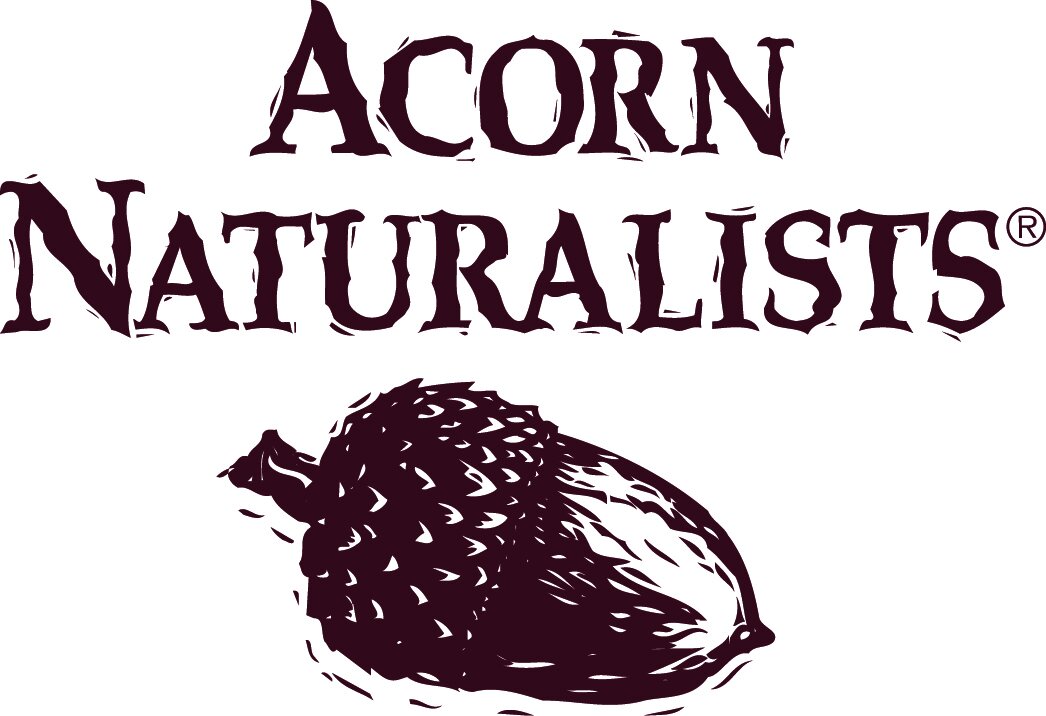 Acorn_Logo_Final copy - Allie Rigby.jpg
