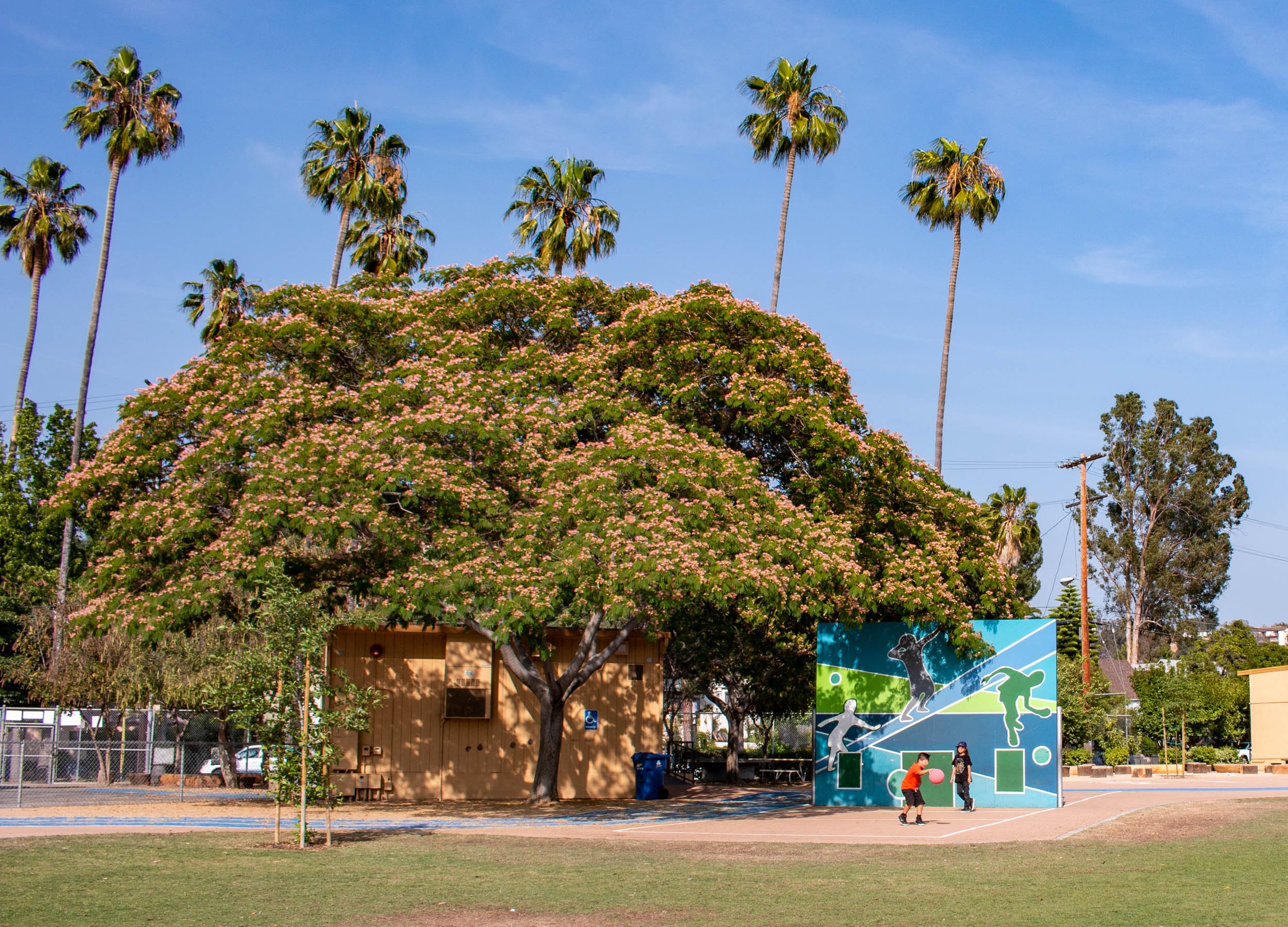 Mimosa building shade_17-06_CA_ES_GSA-SDanks_2682-2.jpeg