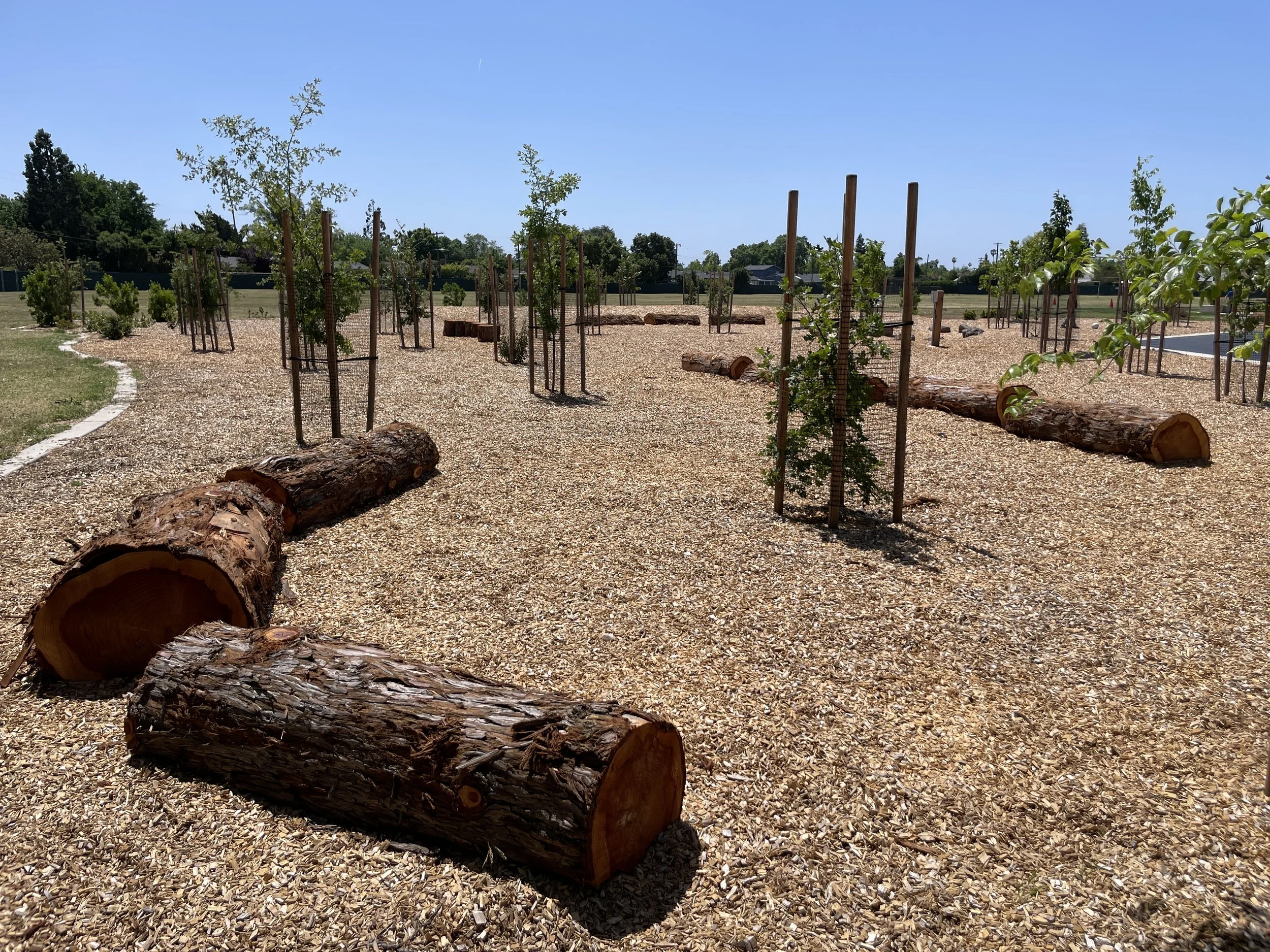  © Green Schoolyards America 